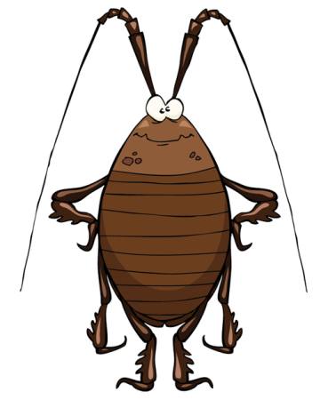 kakerlakk