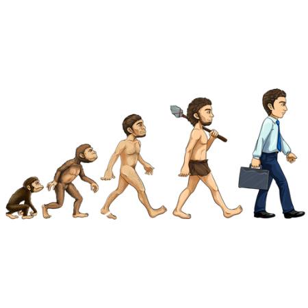 evolusjon