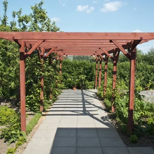 pergola